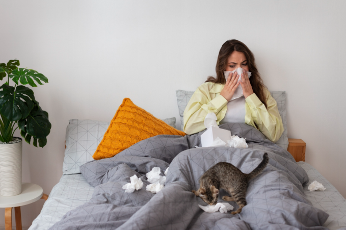 runny nose cat allergy