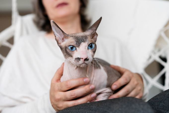 woman holding cat