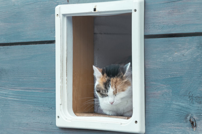 A calico cat peacefully resting inside a wooden cat house with a white pet door