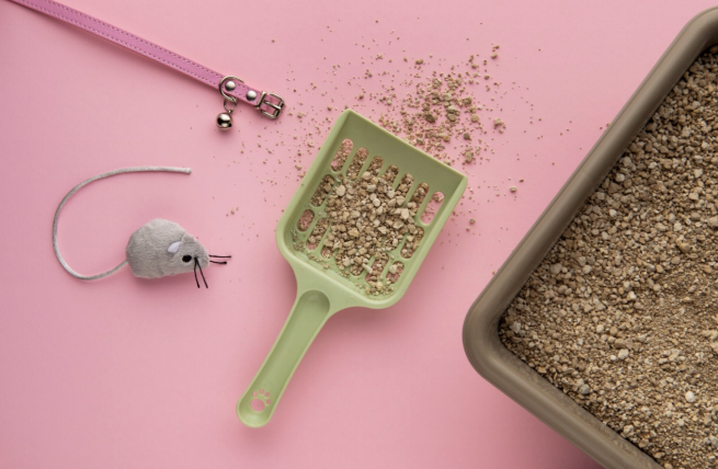 How to Get Rid of Cat Litter Smell Fast: A Complete Guide