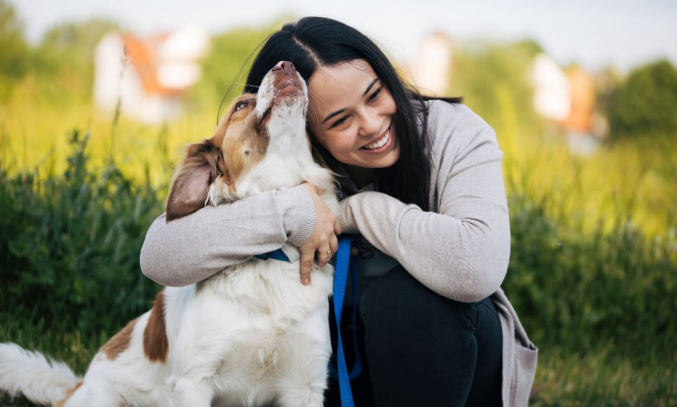 Dog getting owner’s attention