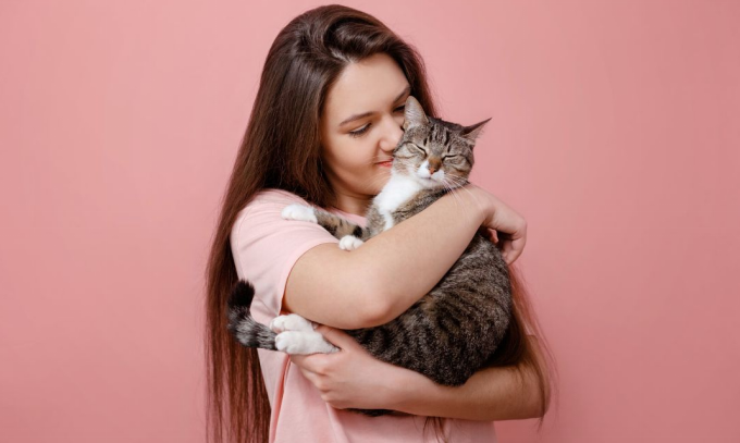 Separation Anxiety in Cats