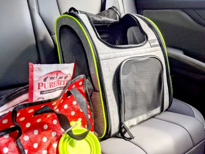 packing of cat essentials for travel