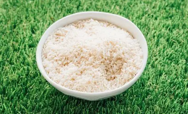 boiled chicken and rice as a bland diet for dogs