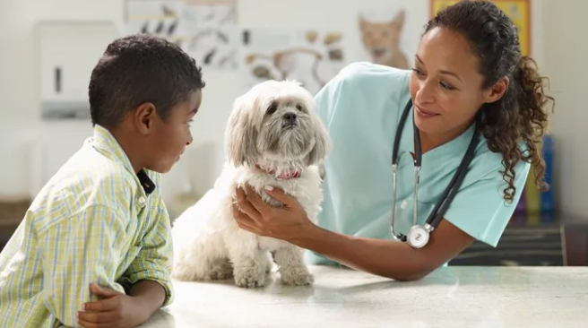prevention of vomiting in dogs