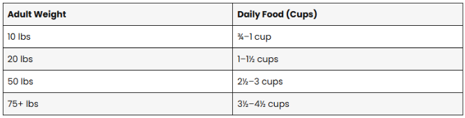 adult dogs feeding chart