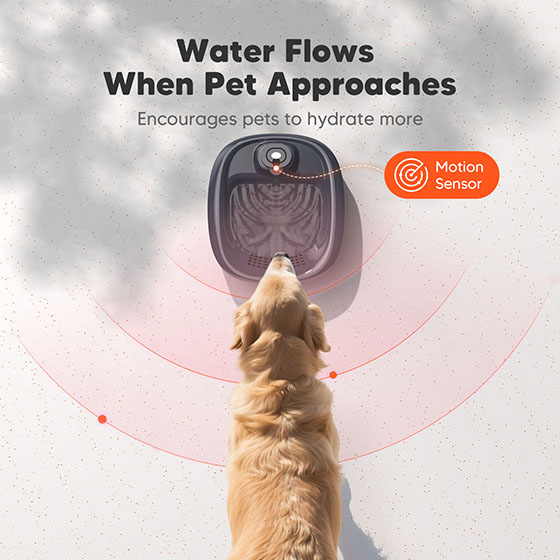 [Upgrade] WOPET Wireless Dog Water Fountain 6L for Large Dogs or Multiple Cats