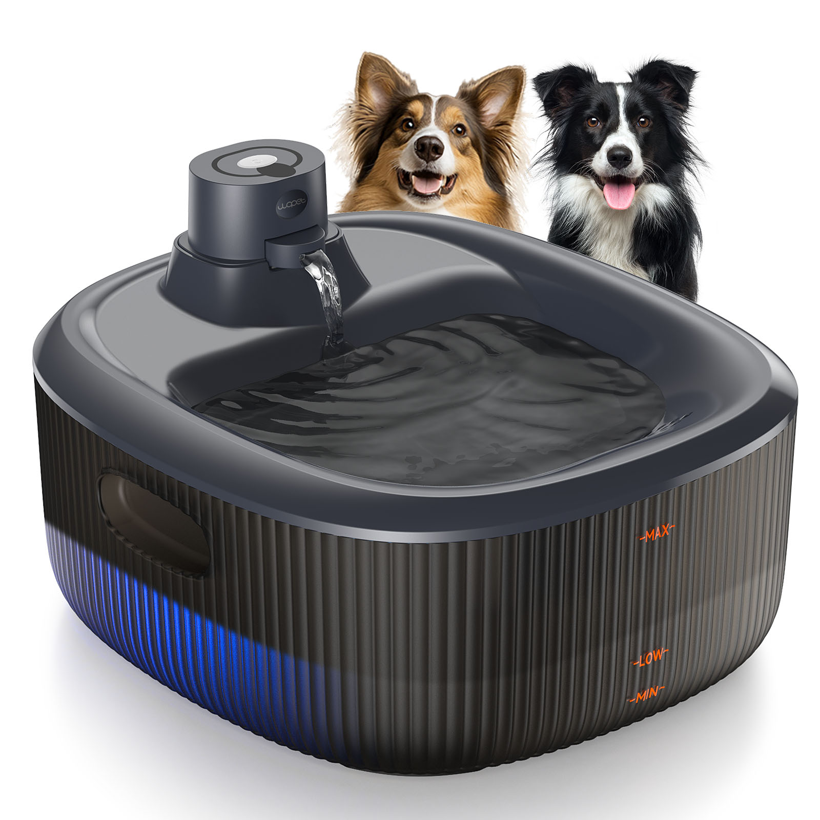 Pawdrate Stainless Steel Dog Water Fountain - Ultra-Quiet, Filtered Pet Fountain For Fresh Hydration