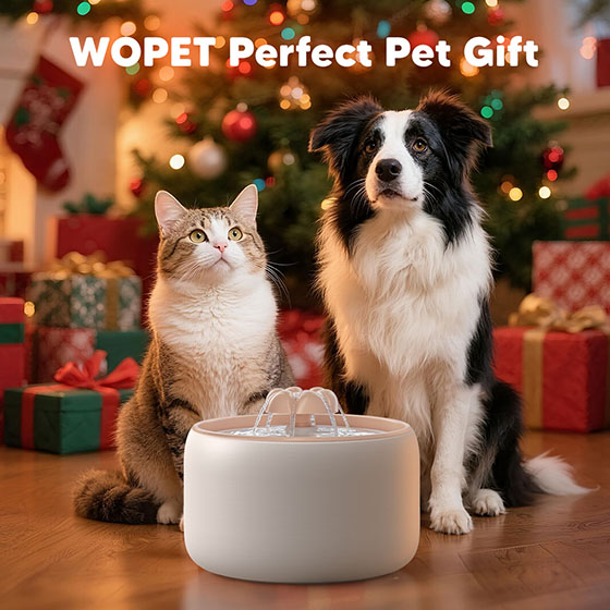 [New] WOpet Ceramic Pet Water Fountain For Dogs & Cats with Power Cable - W03L