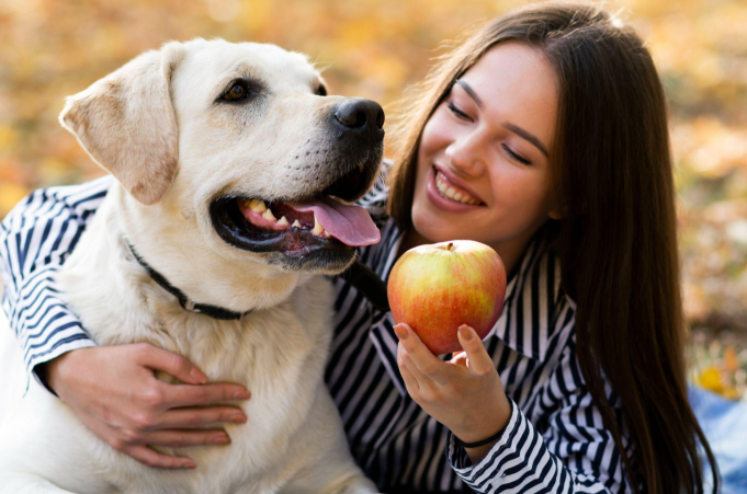 What Fruits Can Dogs Eat? A Complete Pet Parent's Guide