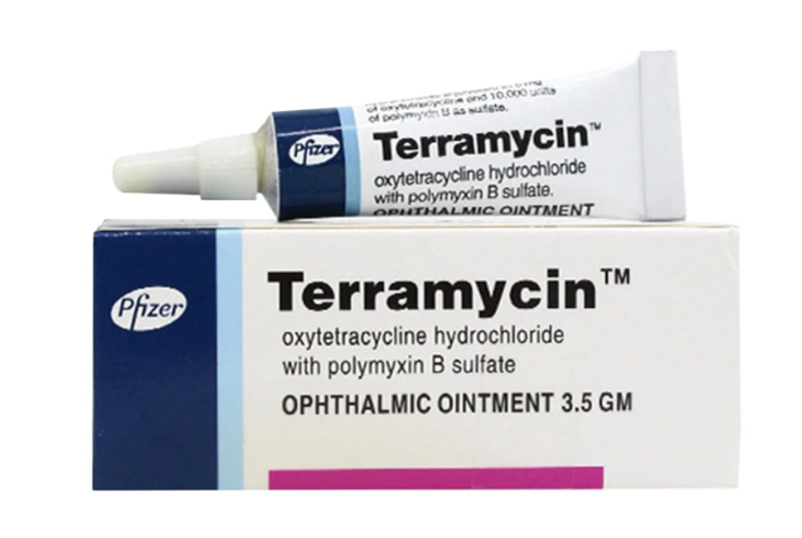 Terramycin ointment for eye infection