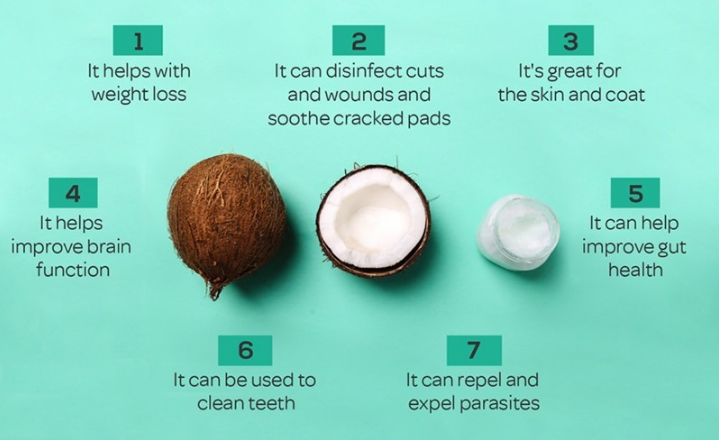 health benefits of coconut oil for dogs