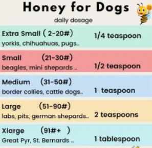 safe amount of honey for dogs