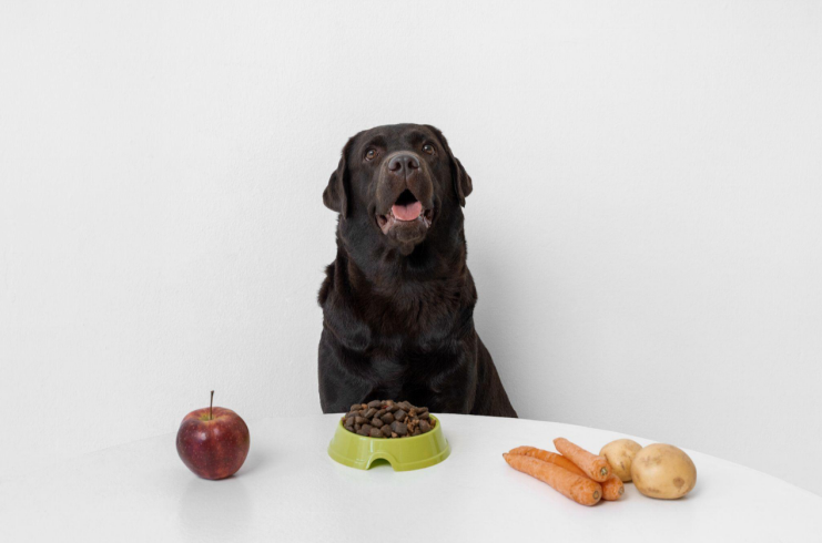 Black Labrador sitting at a table with a bowl of dog food, an apple and carrots.