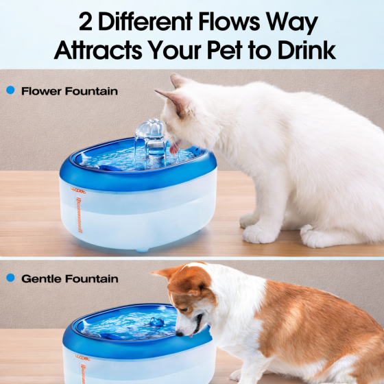 WOPET Cat Water Fountain, 2L Automatic Pet Water Dispenser for Cats & Small Dogs W300