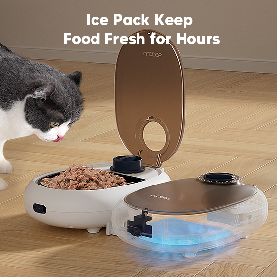 WOpet Automatic Cat Feeder For Wet Food 48-Hour Timer Cat Bowl with Ice Gel Pack FT60W