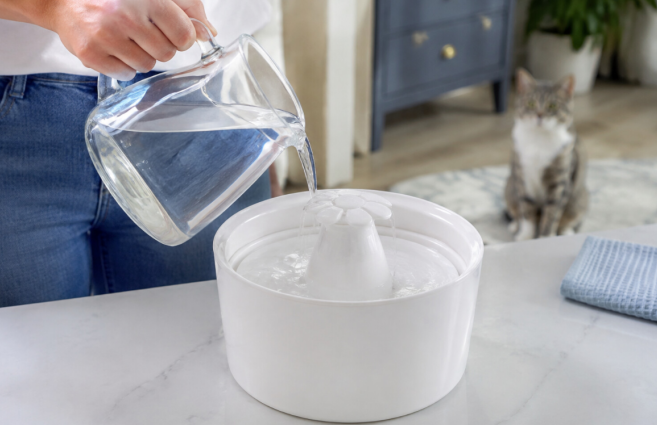 how often to change cat fountain water