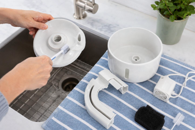 cat water fountain slimy