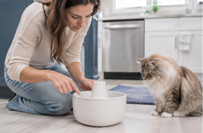 Why Is There White Residue in My Cat Fountain?
