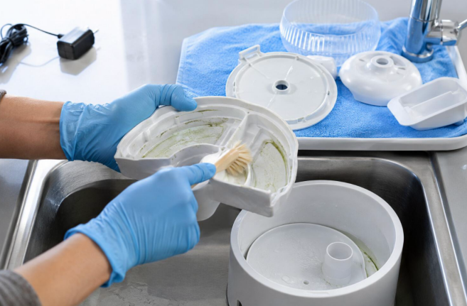 algae in cat water fountain