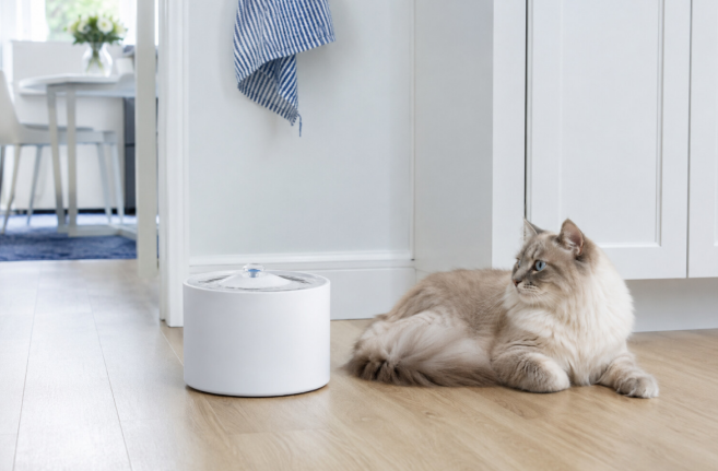 How to Keep Ants Out of a Cat Water Fountain