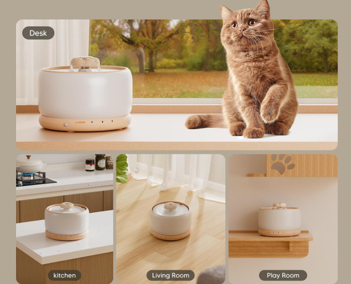 How to Store a Cat Water Fountain Between Uses