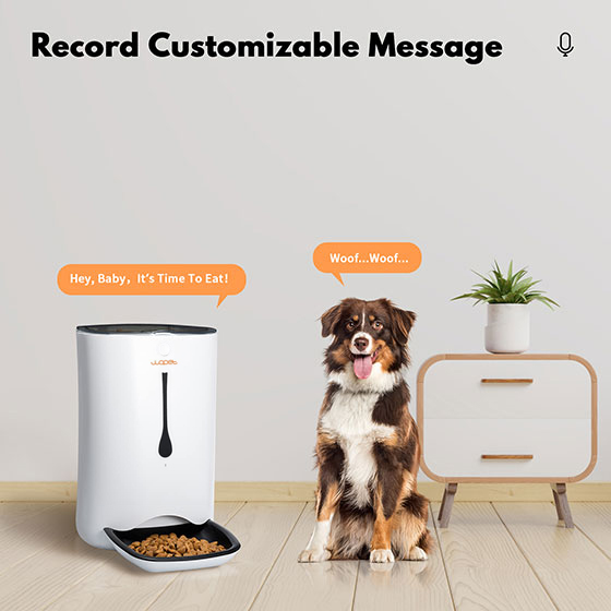 WOpet 7L Automatic Cat & Dog Timer Feeder Pet Food Dispenser丨Pioneer F01 Plus