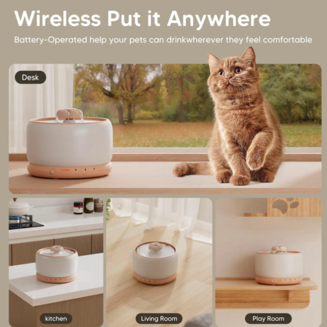 Best Cat Water Fountain for Apartments