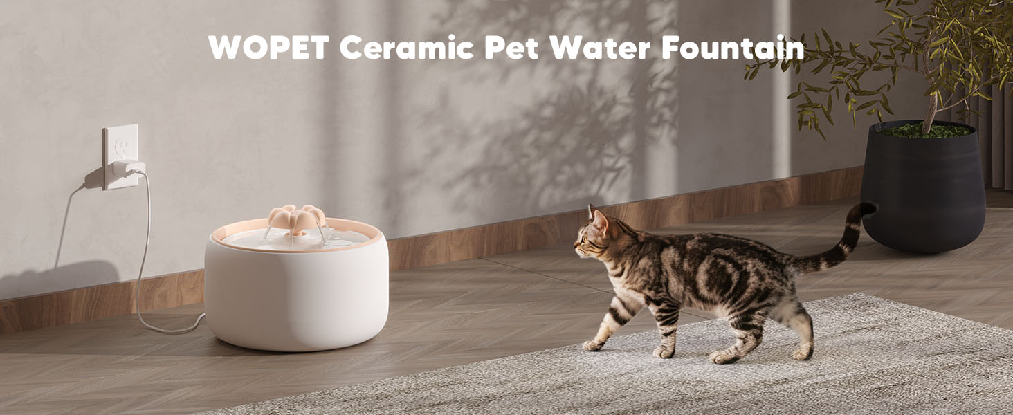 Best Cat Water Fountain for Multi-Cat Households