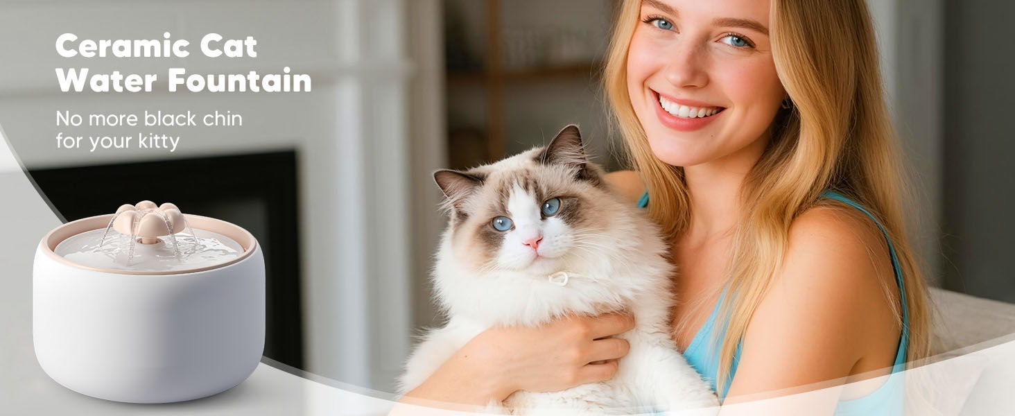 Is a Cat Water Fountain Worth It for One Cat