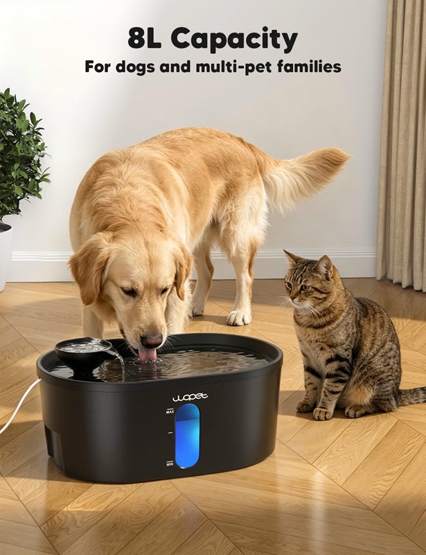 WOPET 8L/2.1Gal Pet Water Fountain For Multiple Cats or Large Dogs A08