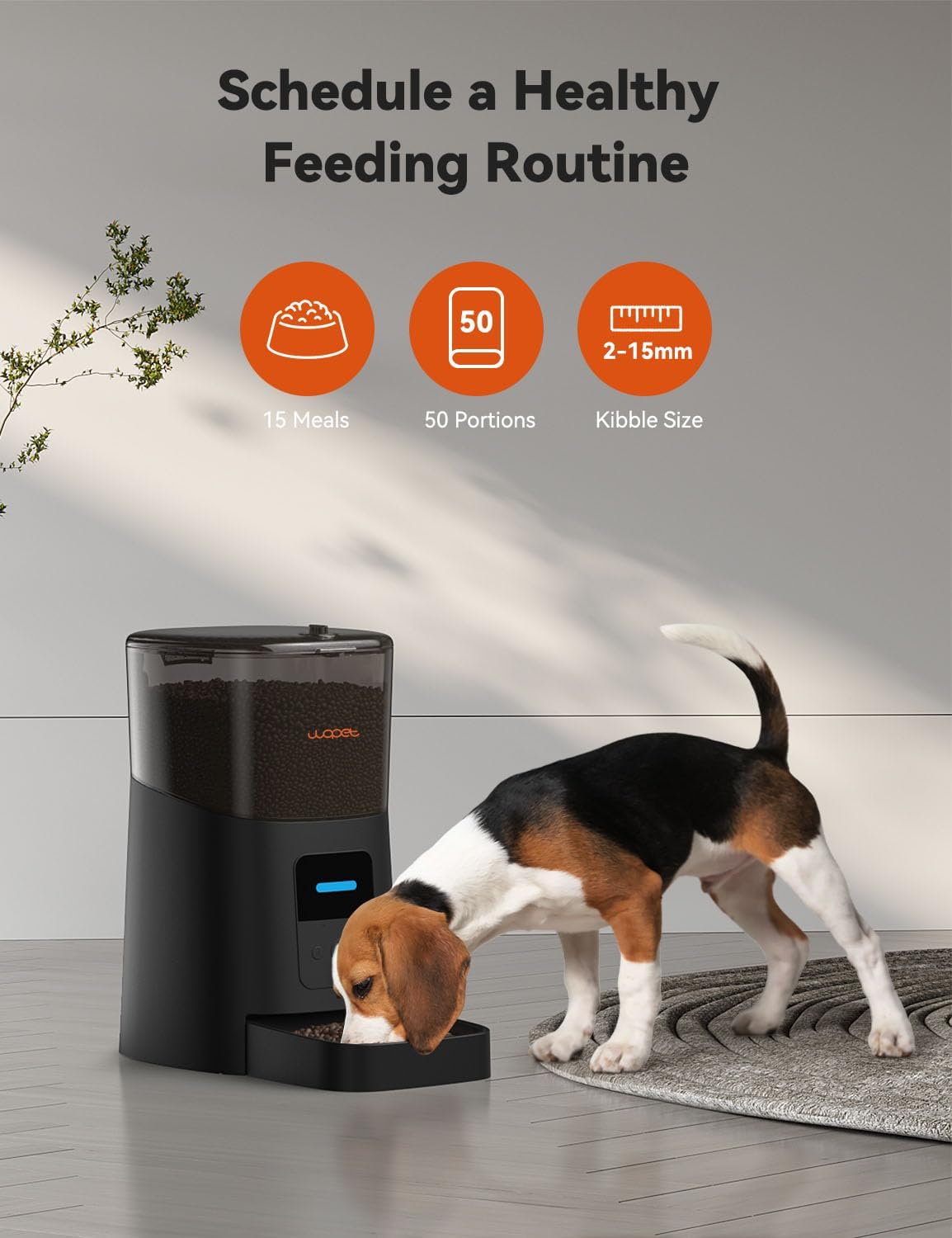 [Black] WOPET F07 Pro 6L Automatic Cat Feeder, Voice Recorder WiFi Remote Control