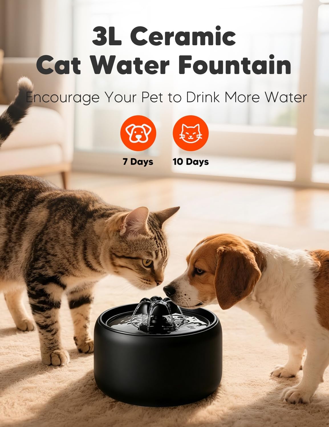 [Black] WOPET W03 LITE 3L Premium Ceramic Pet Water Fountain for Cats or small Dogs